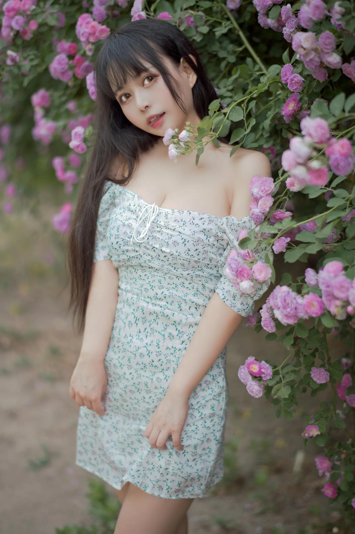 黑猫猫OvO – NO.23 蔷薇2 [27P]插图9